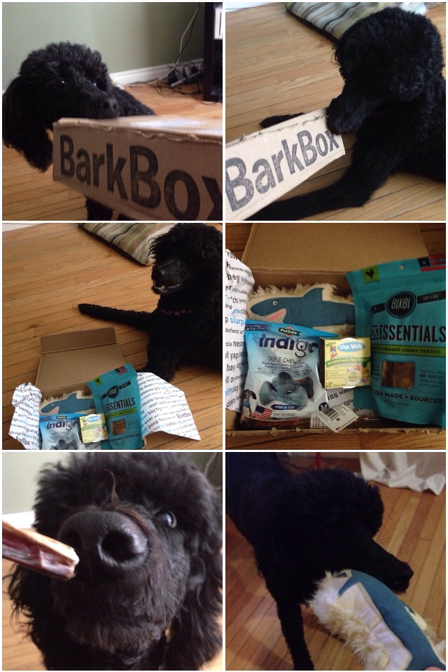 July's Barkbox